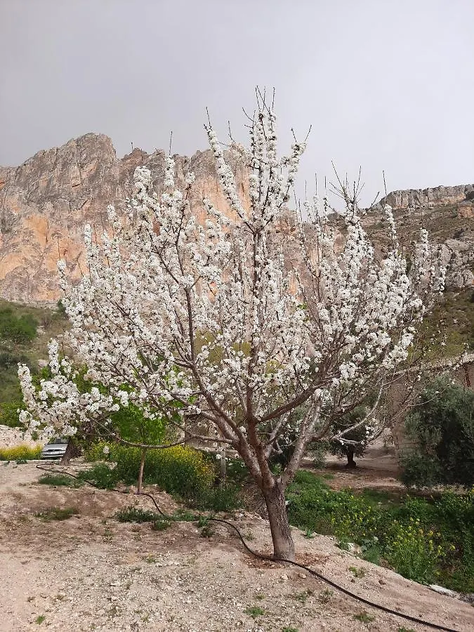 Cortijo el Chorreadero en Parque Natural Sierra de Cazorla Los Rosales  Сasa de vacaciones